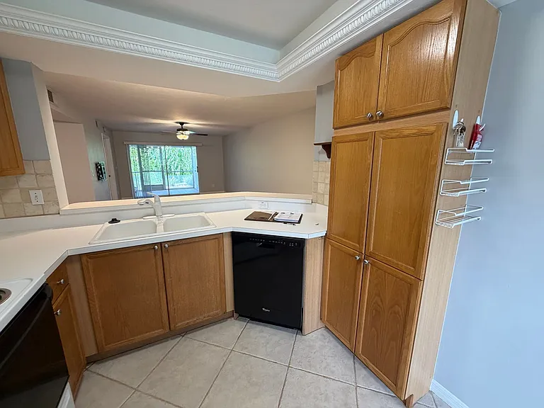 28231 Pine Haven Way #164 — Photo 7
