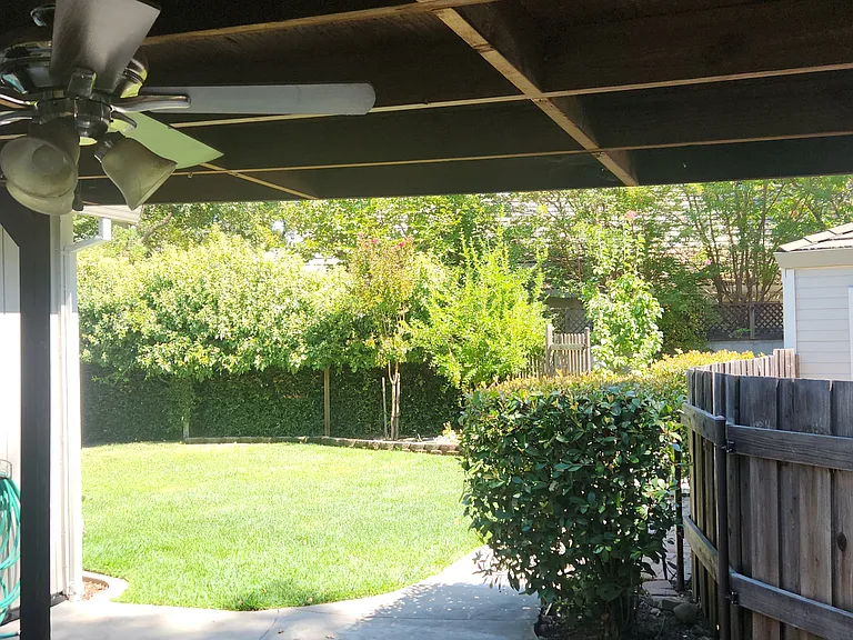 Covered Patio / Rear Yard