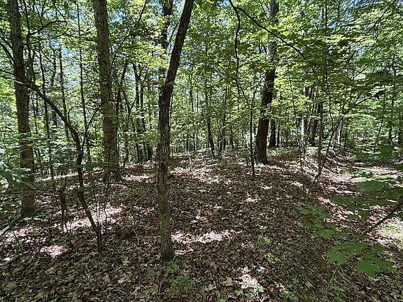 2nd image of 35 High Summit Dr
