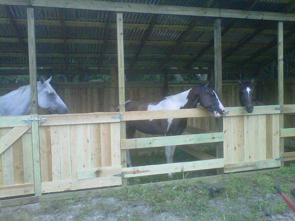 3 stall Horse Barn