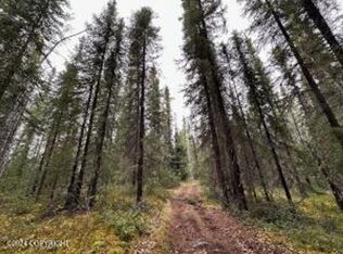 TRACT 6 & 7 Plat #2009-109, Tok, AK 99780