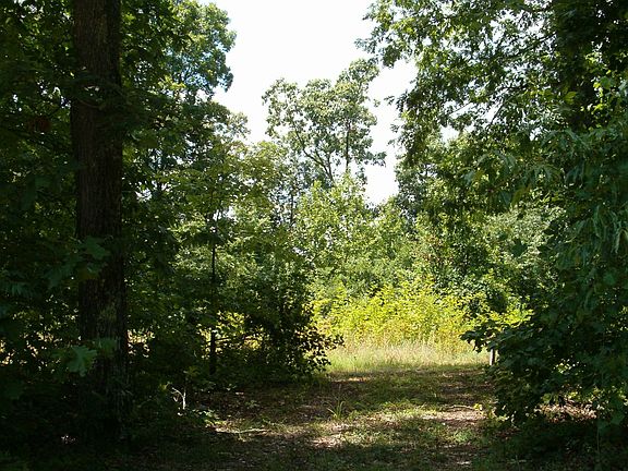 2nd image of 0 Woods Ln Lot 31