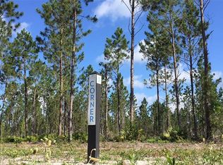 LOT 1 Lake Hampton Rd, Hilliard, FL 32046