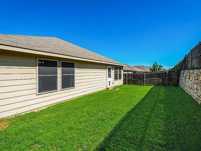 Back yard
