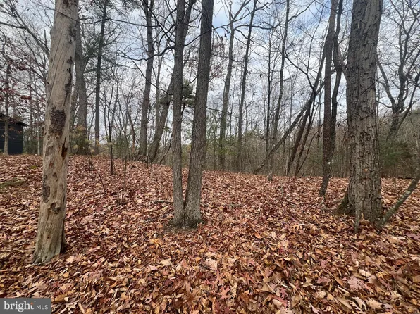 0 Brawley Ln, Basye, VA 22810