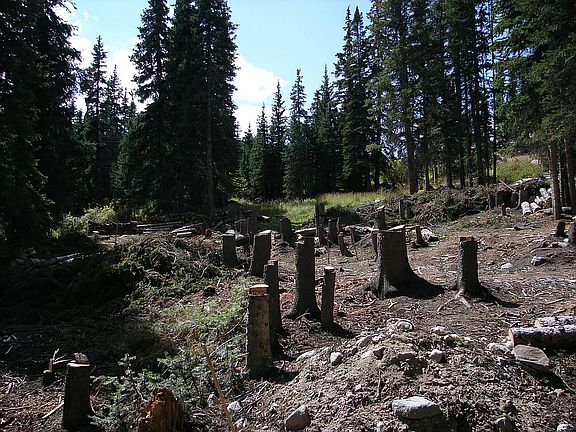 4th image of 1400 State Highway 9