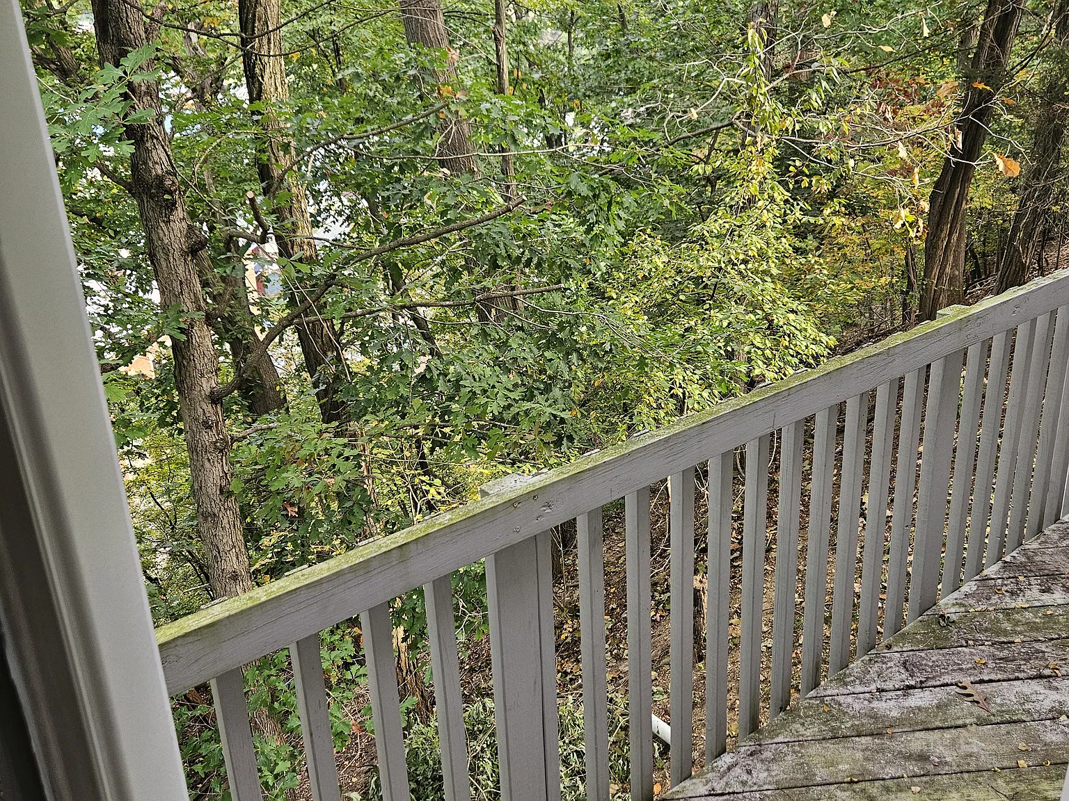 2 bed, $1,300 — Photo 4