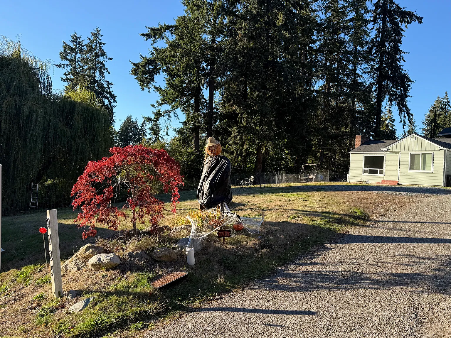 2 bed, 1.5 bath, 800 sqft, $3,000 — Photo 1