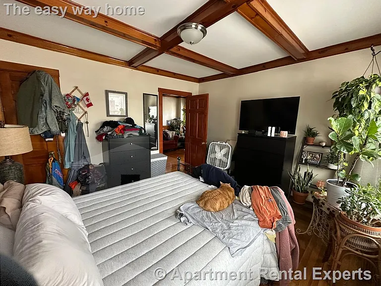 21 Ashland St — Photo 8