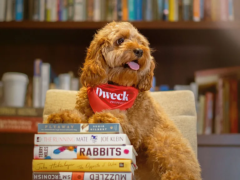 Our canine friends enjoy the library in this pet friendly community!