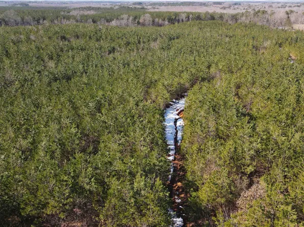 Sandy Flatt Rd, Selmer, TN 38375