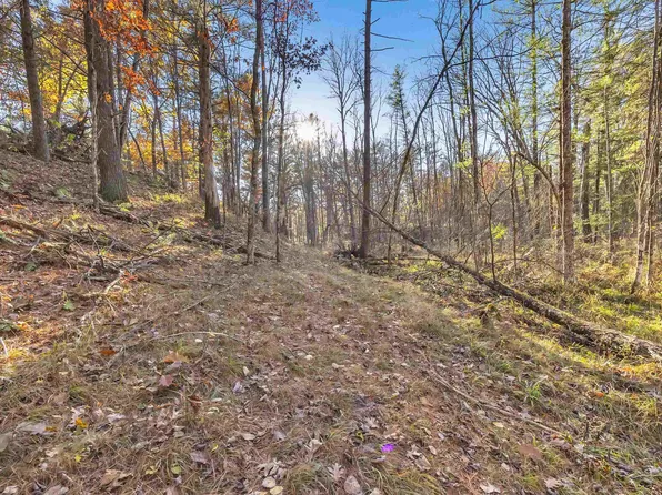 County Road Gg, Iola, WI 54945