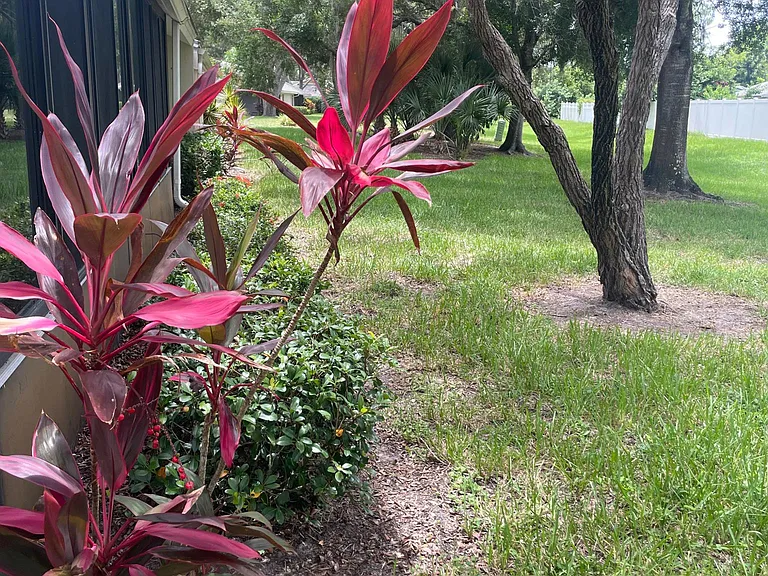 243 Southampton Ln #273 — Photo 37