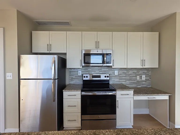 252 N Christopher Columbus Blvd #1602 — Photo 11