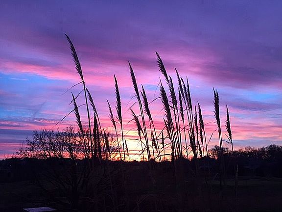 Sunrise view every morning!