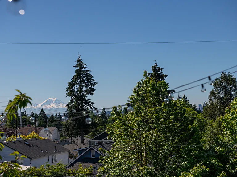 Mt. Rainier view!