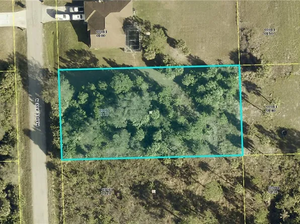 802 Maple Ave N, Lehigh Acres, FL 33972