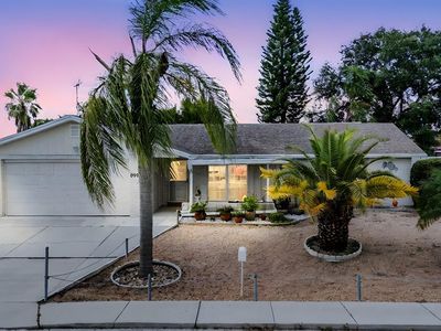 6905 El Camino Paloma St, Port Richey, FL, 34668