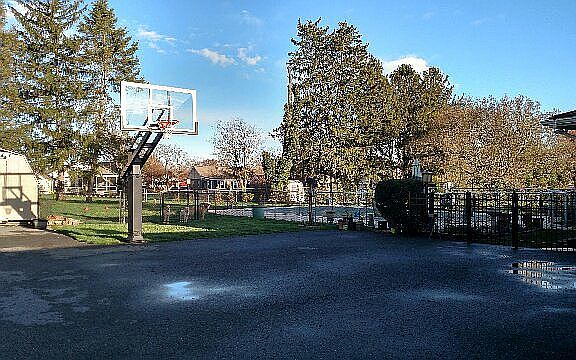 Professional basketball goal