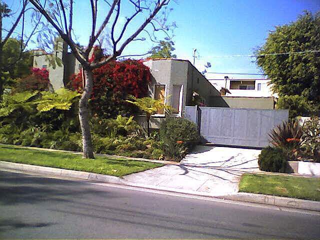 Side of House/Driveway
