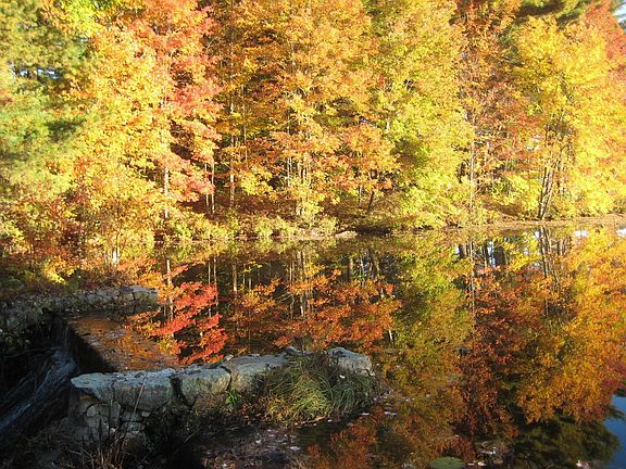 The Spillway (on property)