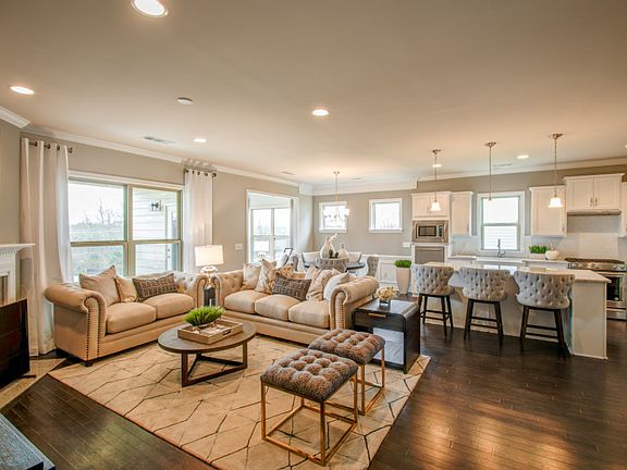 Model Representation