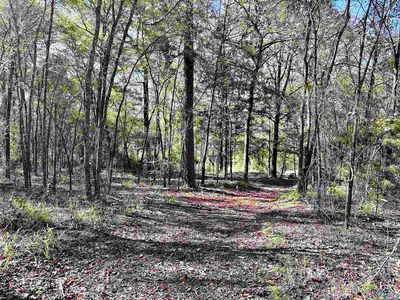 358 Private Road 8000, Winnsboro, TX, 75494