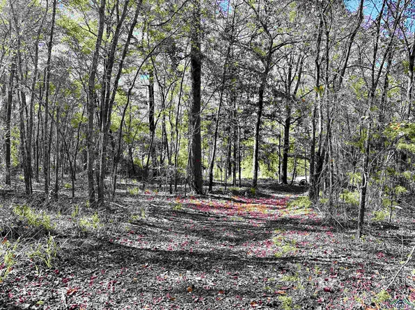 358 Private Road 8000, Winnsboro, TX 75494