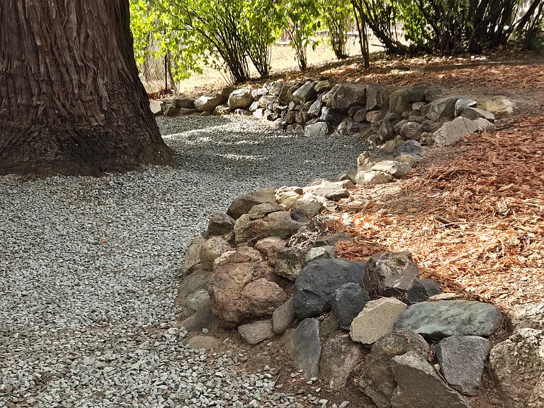 back path with a huge cedar to shade the house.