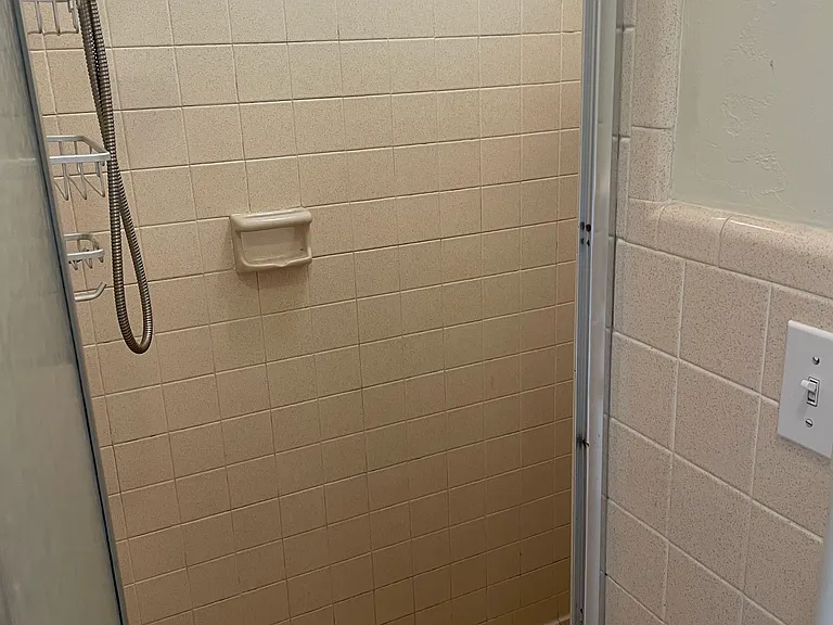 Master Bath Shower