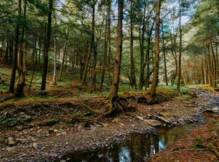 0 Weidick Rd, Andes, NY 13731