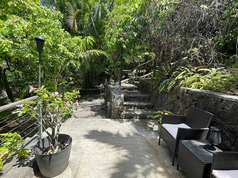 1006 Koohoo Pl #C — Photo 5