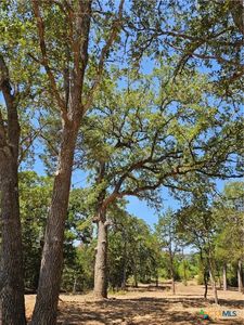 0 Agget Rd, Smithville, TX, 78957