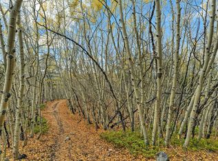 4227 J M C, Leadville, CO 80461