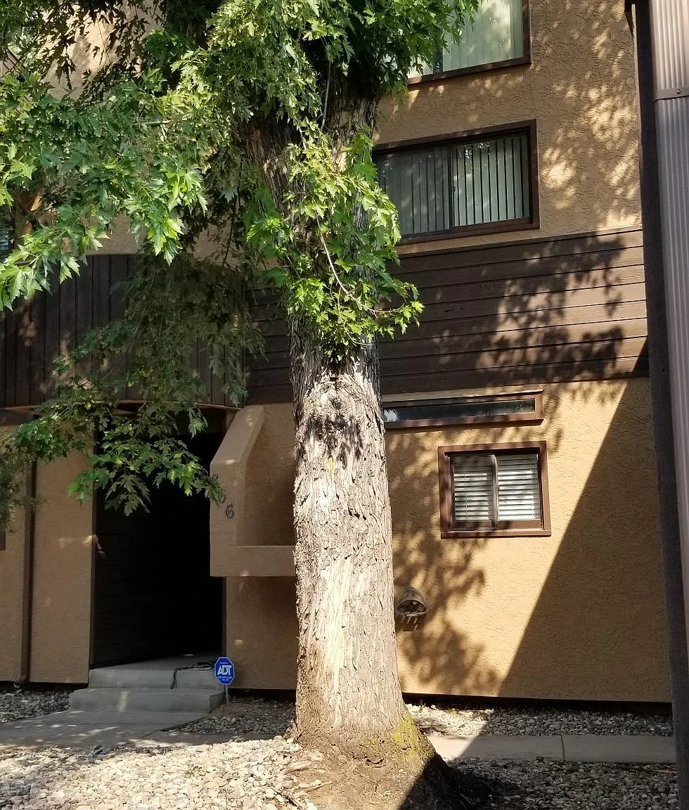 2 bed, 1571 sqft, $1,650 — Photo 3