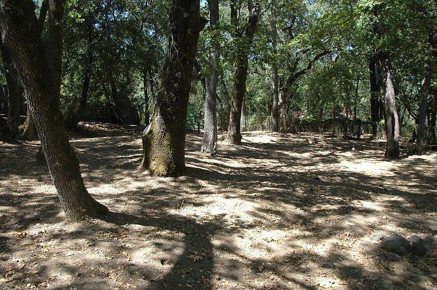 2nd image of 1244 Los Trancos Rd