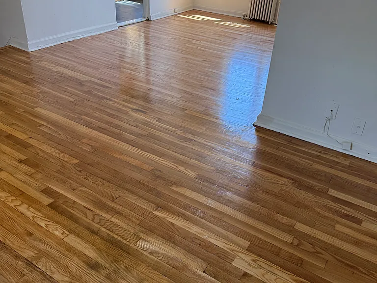 30 Marion Ave #31 — Photo 4