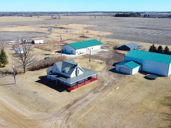 28244 555th Ave, Deer Creek, MN 56527