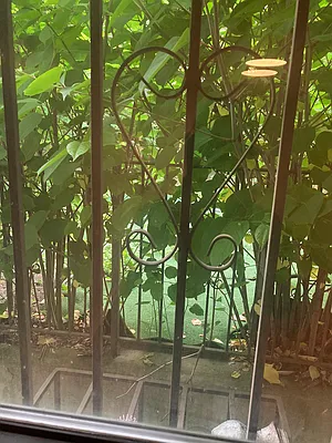 Rented by Maccabee 1 Realty Corp | media 24