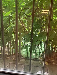 Rented by Maccabee 1 Realty Corp