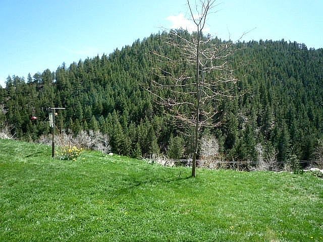 2nd image of 173 Gold Run Rd