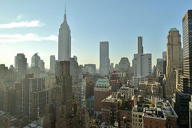 Rented by Bold New York