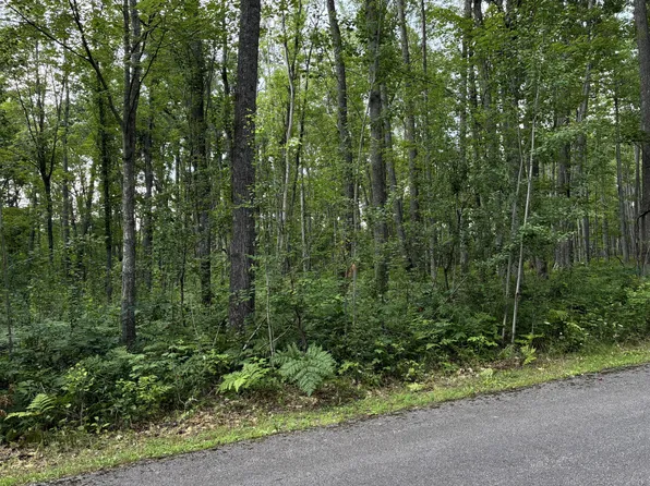 522 Red Pine Ct, Lewiston, MI 49756