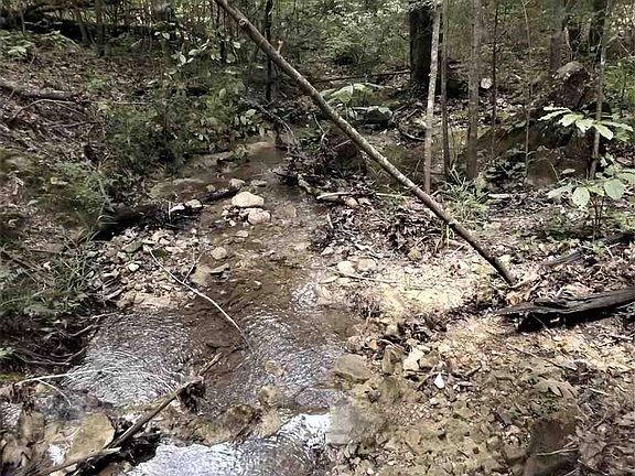 2nd image of 1826 Fire Break Trl