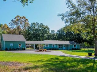 19309 Hiawatha Rd, Odessa, FL 33556