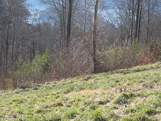 3rd image of L-176 Lakeview Dr Lot 176