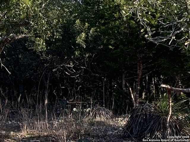 2nd image of 9811 Scenic View Dr