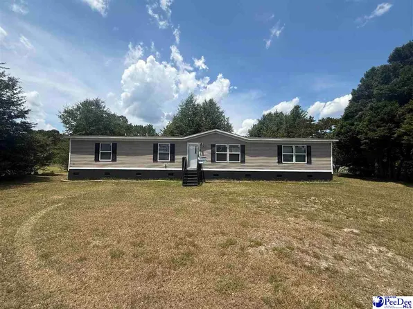 3875 Carolyn Ln, Johnsonville, SC 29555