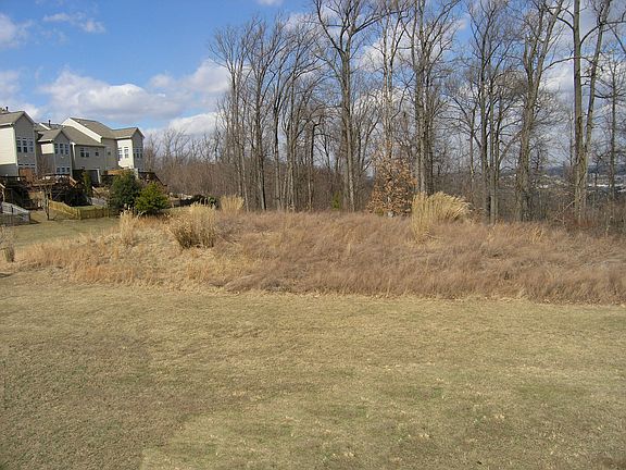 Loads of Room to Play