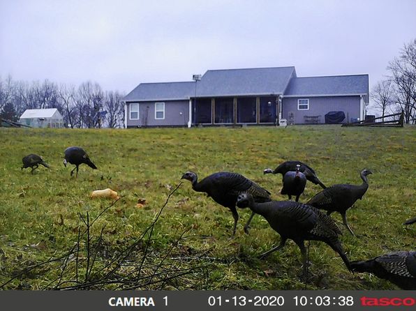 232 Rayann Dr, Lawrenceburg, TN 38464